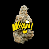 Lil Baby's Wham